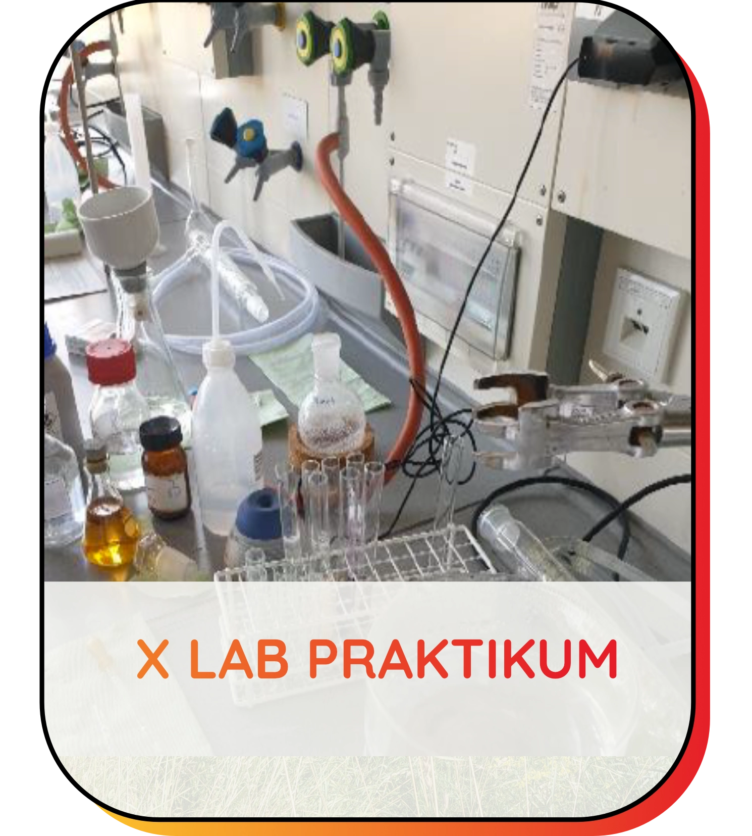 XLab